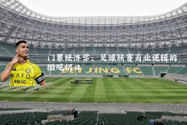 门票经济学：足球联赛商业逻辑的微观切口